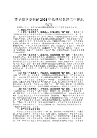 某乡镇党委书记2024年抓基层党建工作述职报告