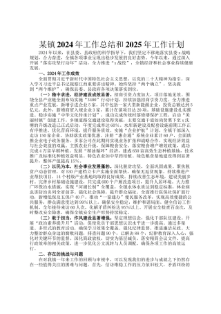 某镇2024年工作总结和2025年工作计划