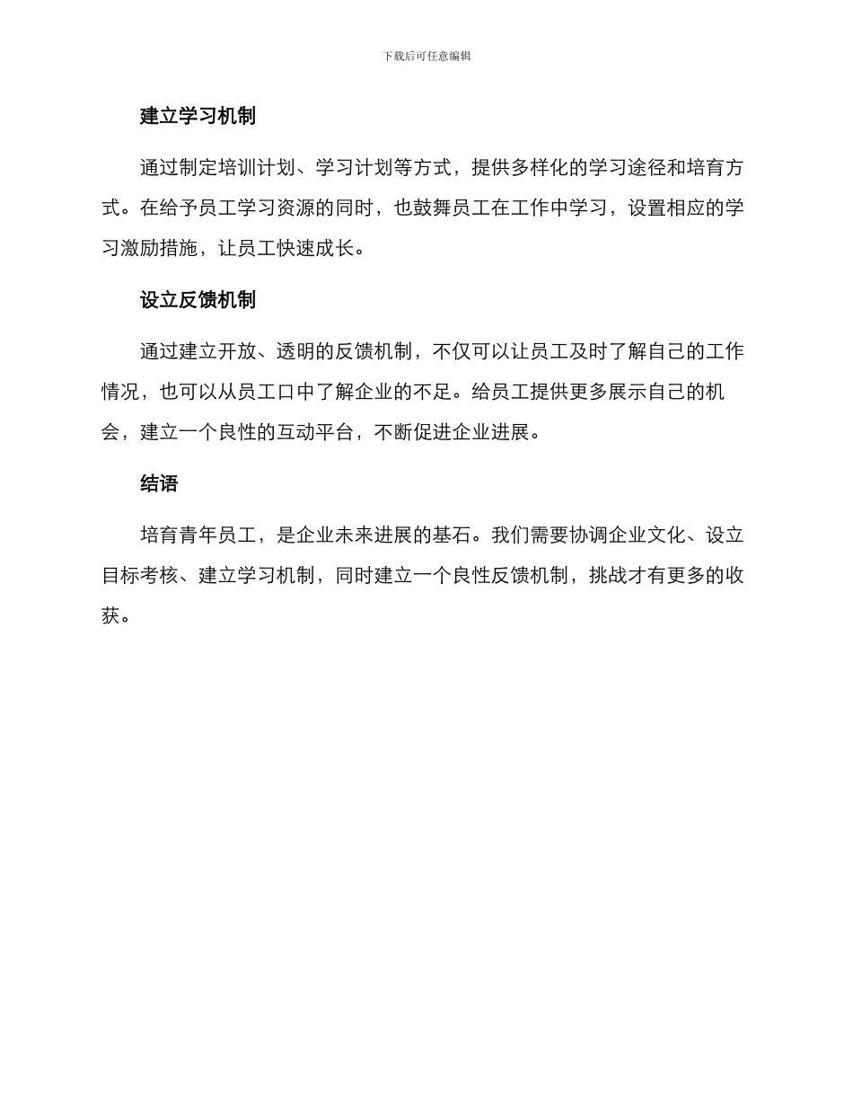 培养青年员工思路方案_第3页