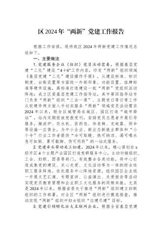 区2024年“两新”党建工作报告