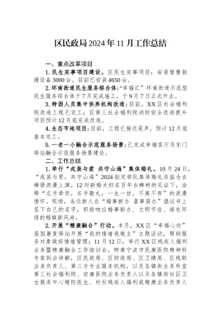 区民政局2024年11月工作总结