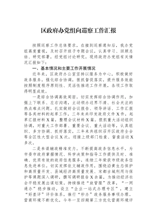 区政府办党组向巡察工作汇报