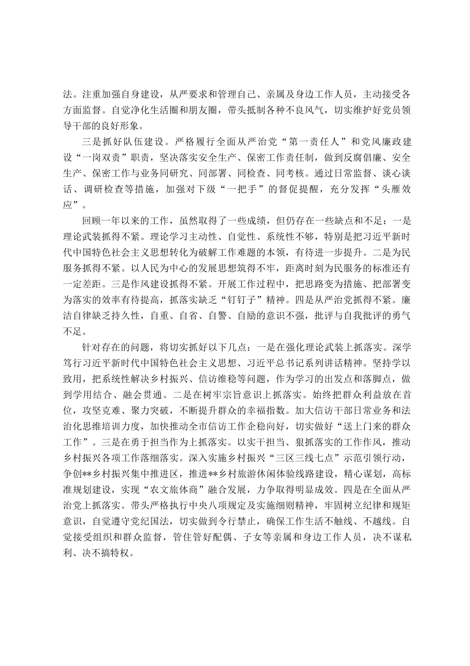 市委副书记2024年度述职述廉报告_第3页