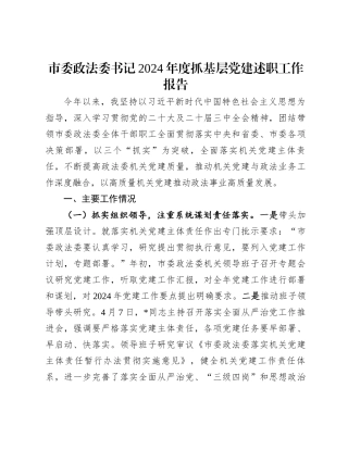 市委政法委书记2024年度抓基层党建述职工作报告