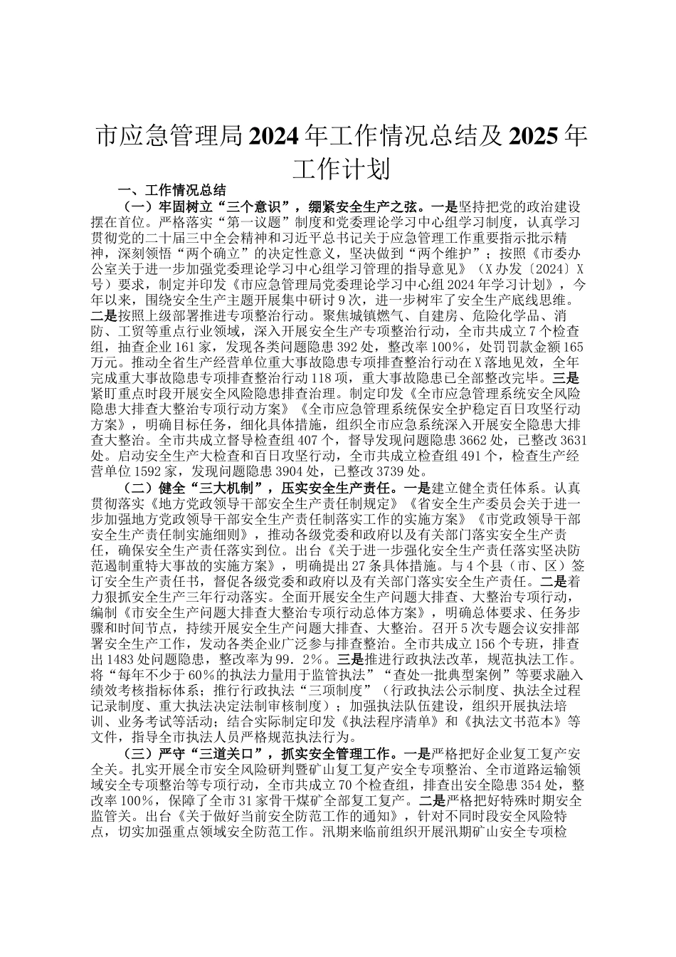 市应急管理局2024年工作情况总结及2025年工作计划_第1页