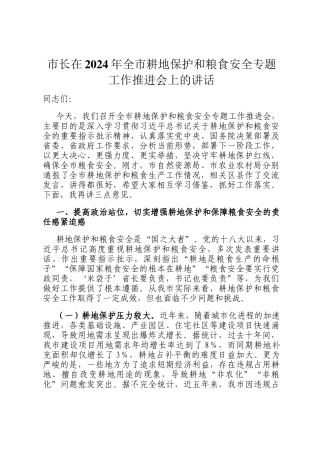 市长在2024年全市耕地保护和粮食安全专题工作推进会上的讲话