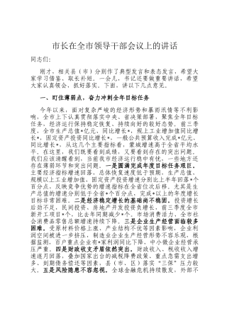市长在全市领导干部会议上的讲话