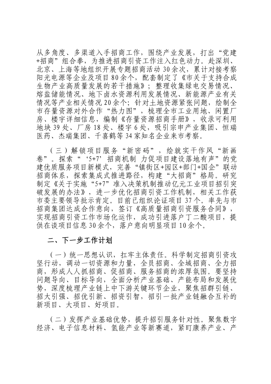 市招商服务中心2024年招商引资工作总结_第2页