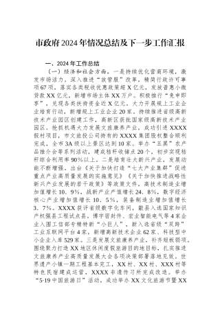 市政府2024年情况总结及下一步工作汇报