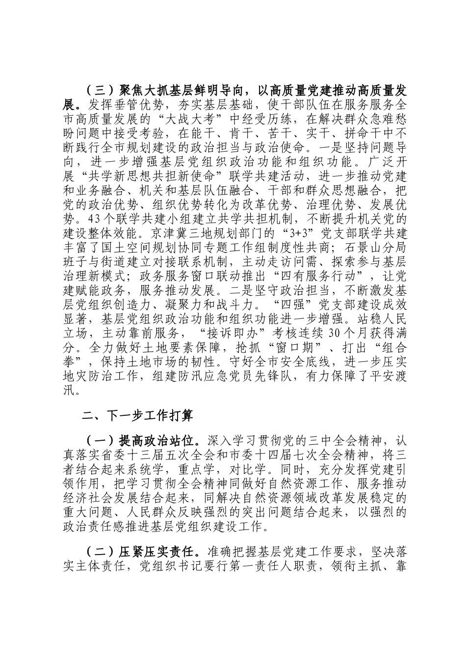 市自然资源和规划局党组党组2024年落实全面从严治党主体责任情况报告_第3页
