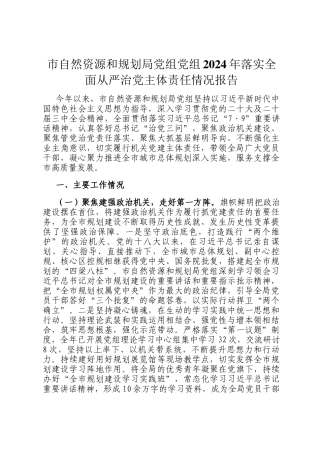 市自然资源和规划局党组党组2024年落实全面从严治党主体责任情况报告