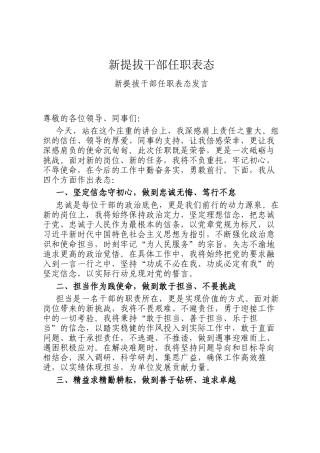 新提拔干部任职表态