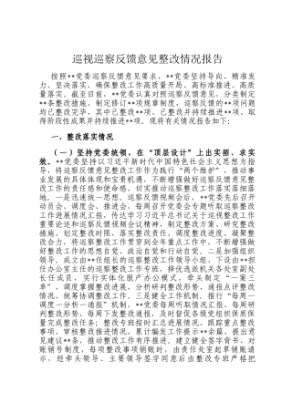 巡视巡察反馈意见整改情况报告