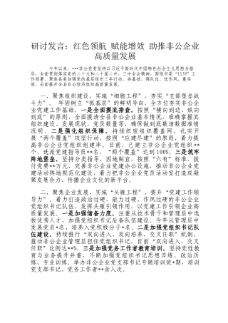 研讨发言：红色领航 赋能增效 助推非公企业高质量发展