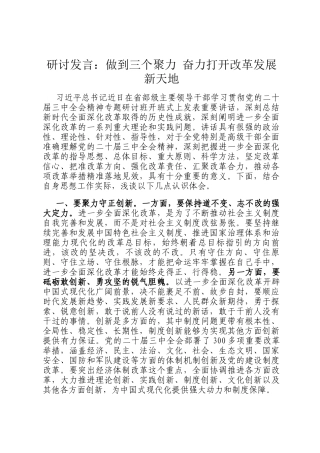 研讨发言：做到三个聚力 奋力打开改革发展新天地