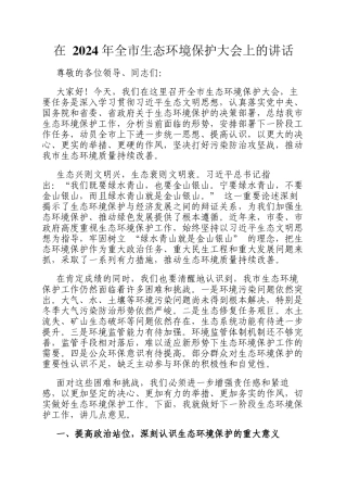 在 2024 年全市生态环境保护大会上的讲话