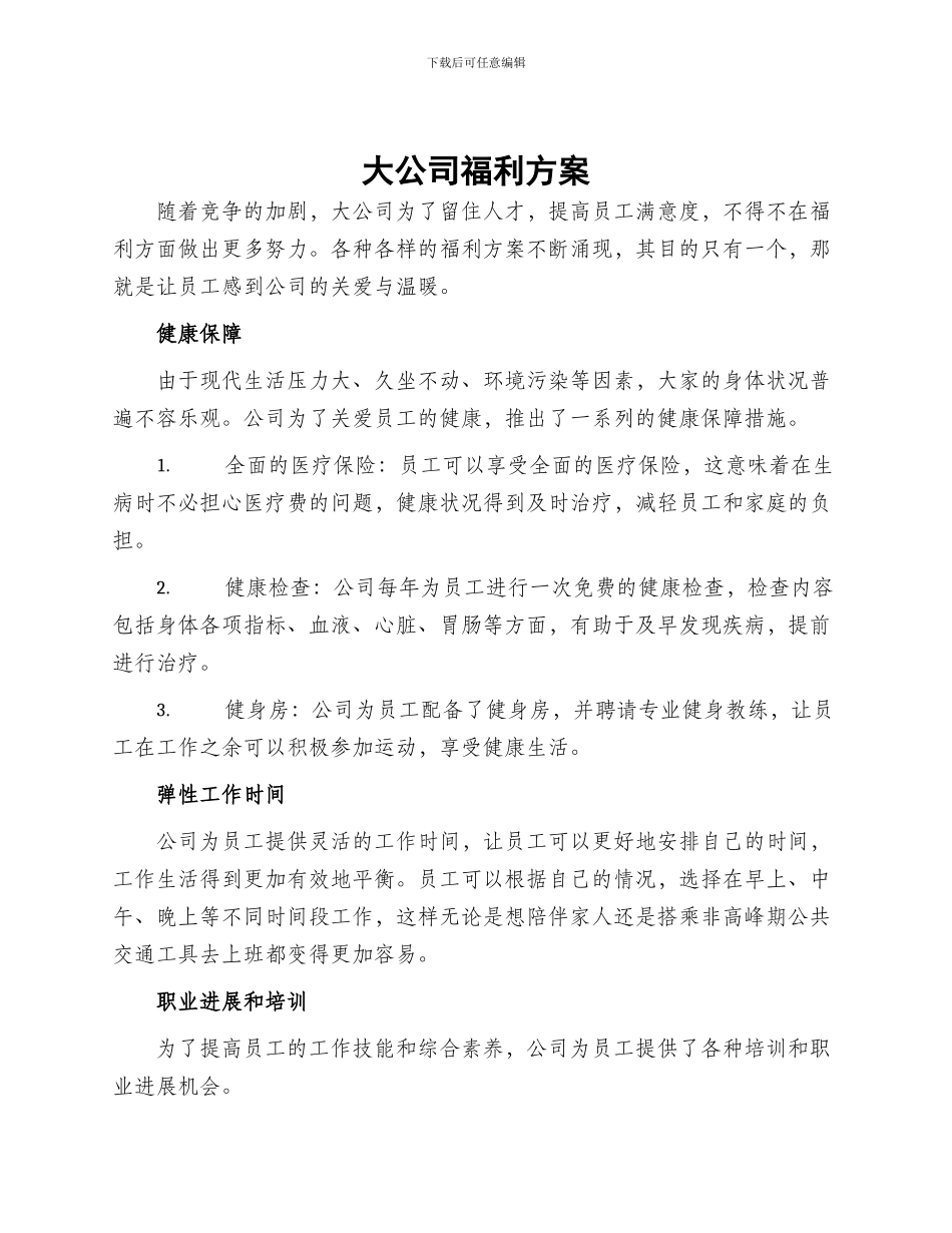 大公司福利方案_第1页