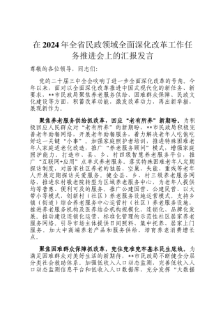 在2024年全省民政领域全面深化改革工作任务推进会上的汇报发言