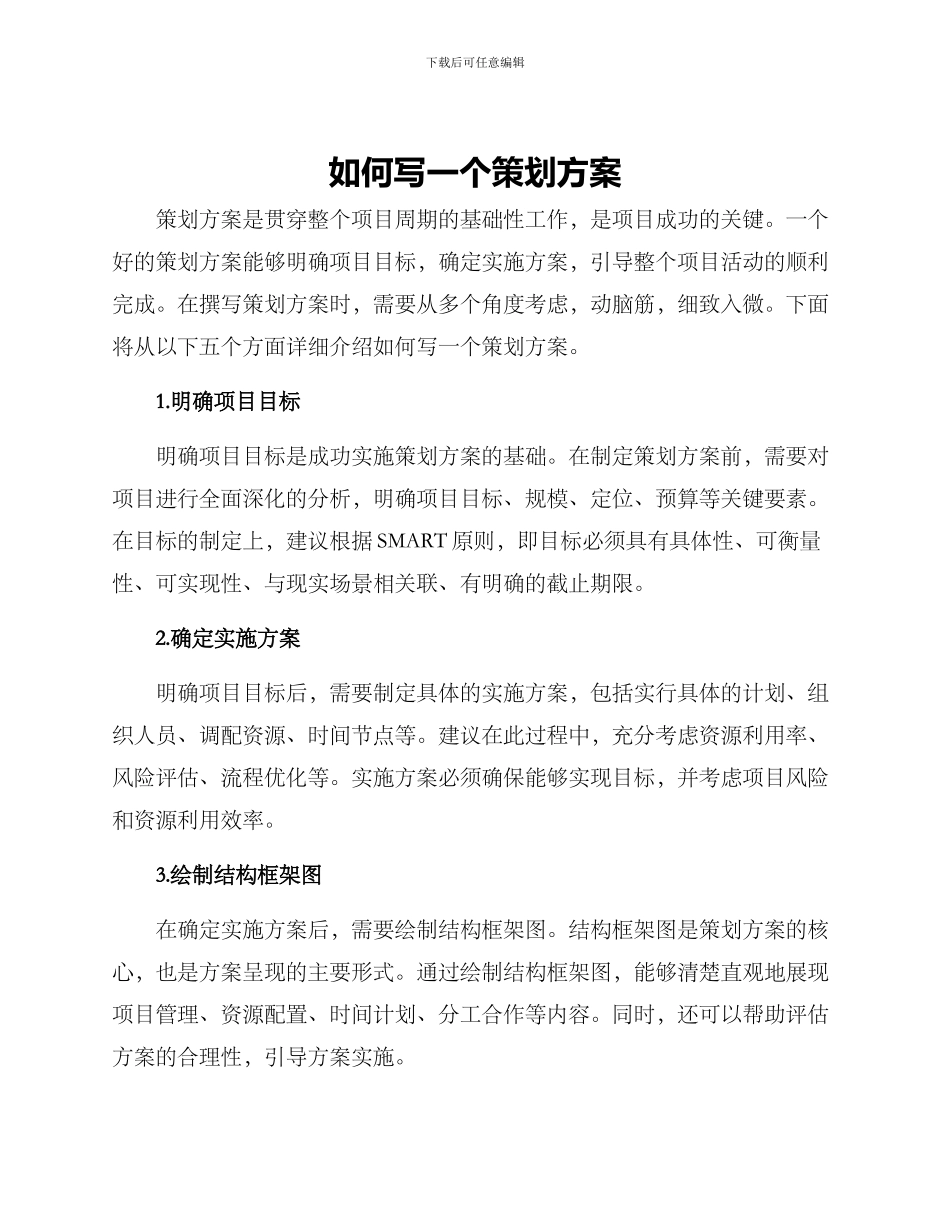 如何写一个策划方案_第1页