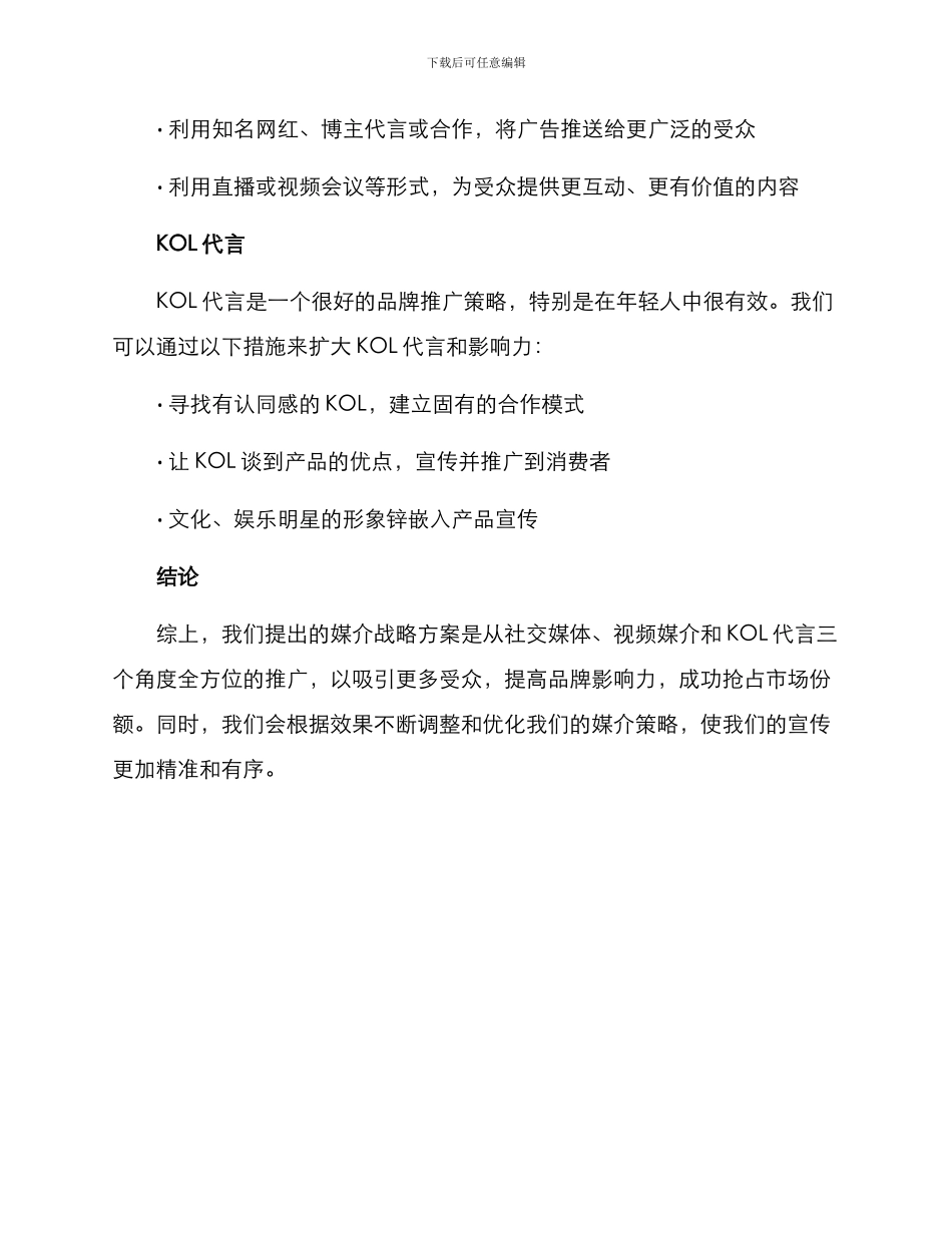 媒介战略策划方案_第3页