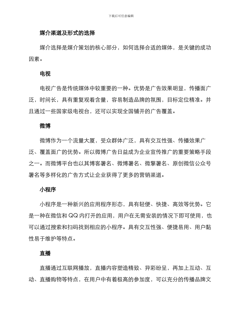 媒介策划方案_第2页