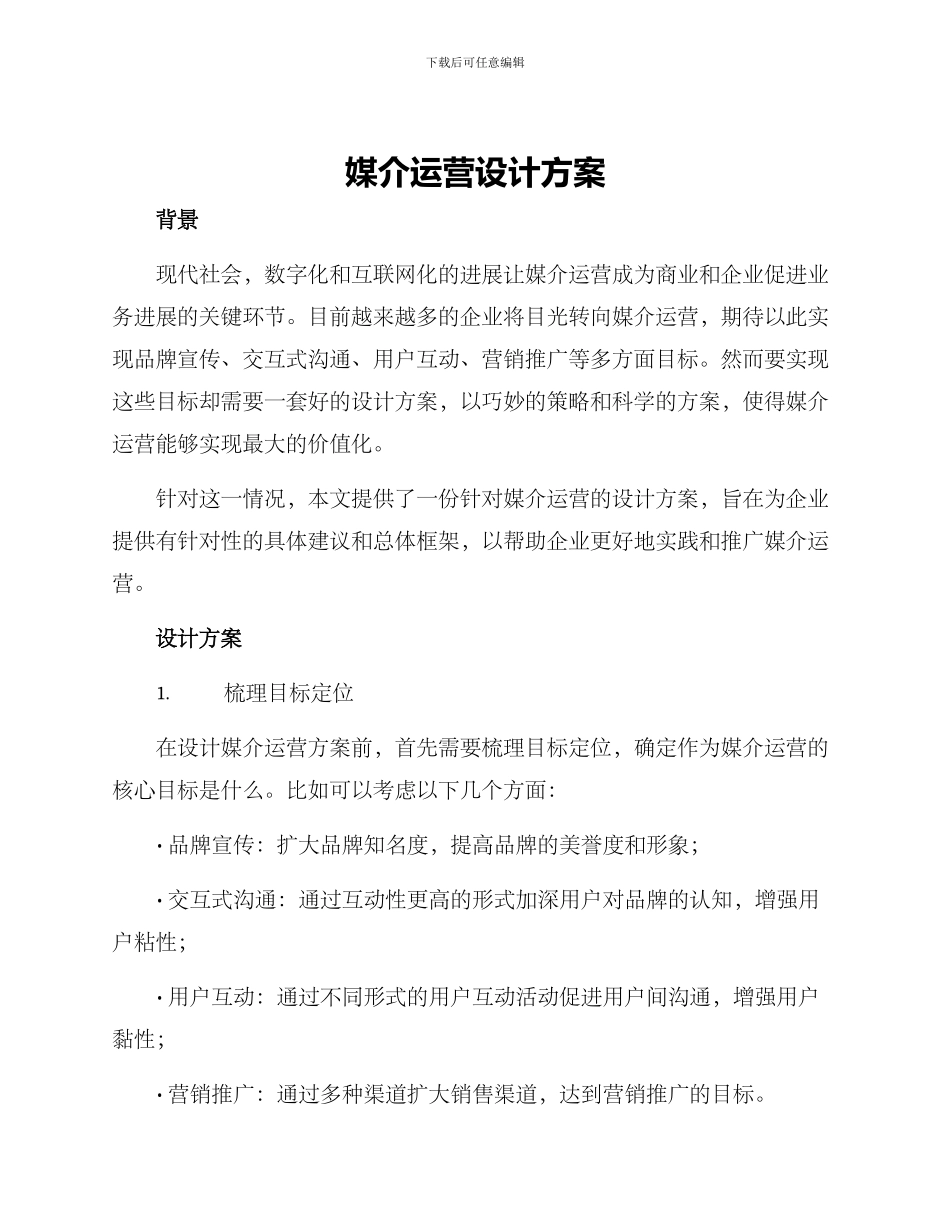 媒介运营设计方案_第1页