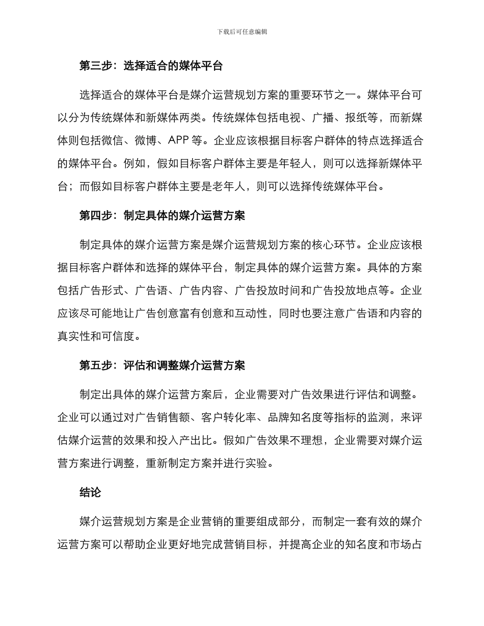 媒介运营规划方案_第2页