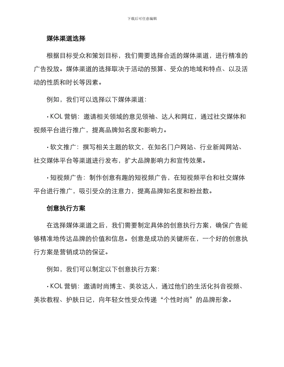 媒体策划执行方案_第2页