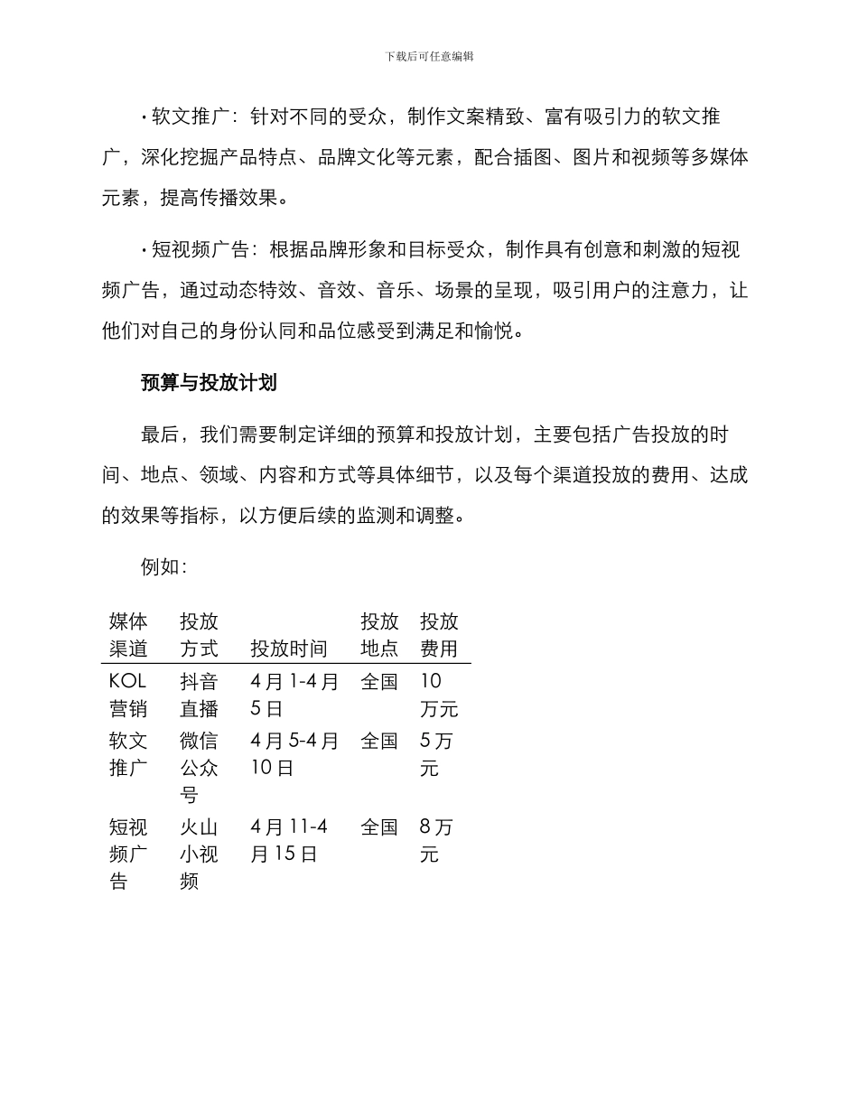 媒体策划执行方案_第3页