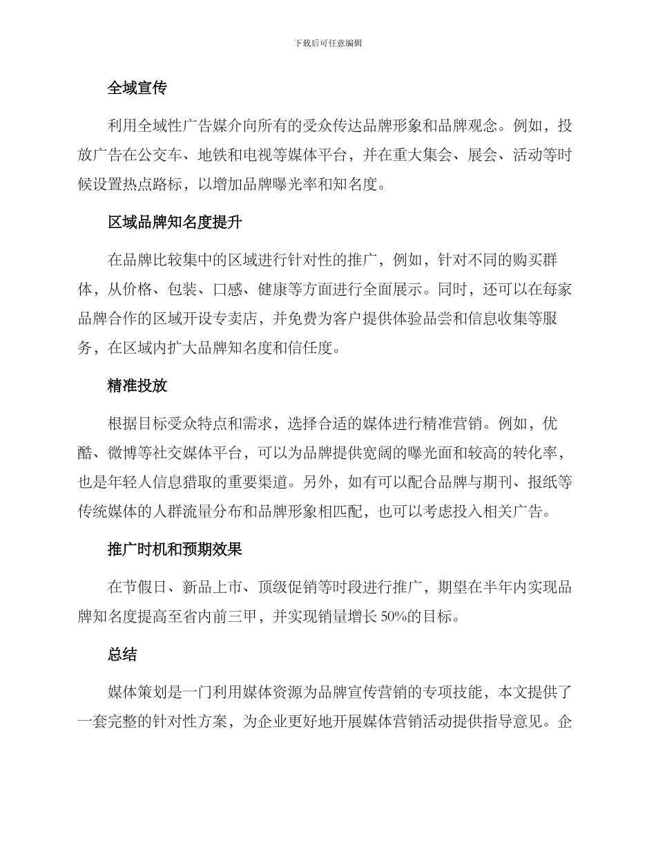 媒体策划方案_第2页