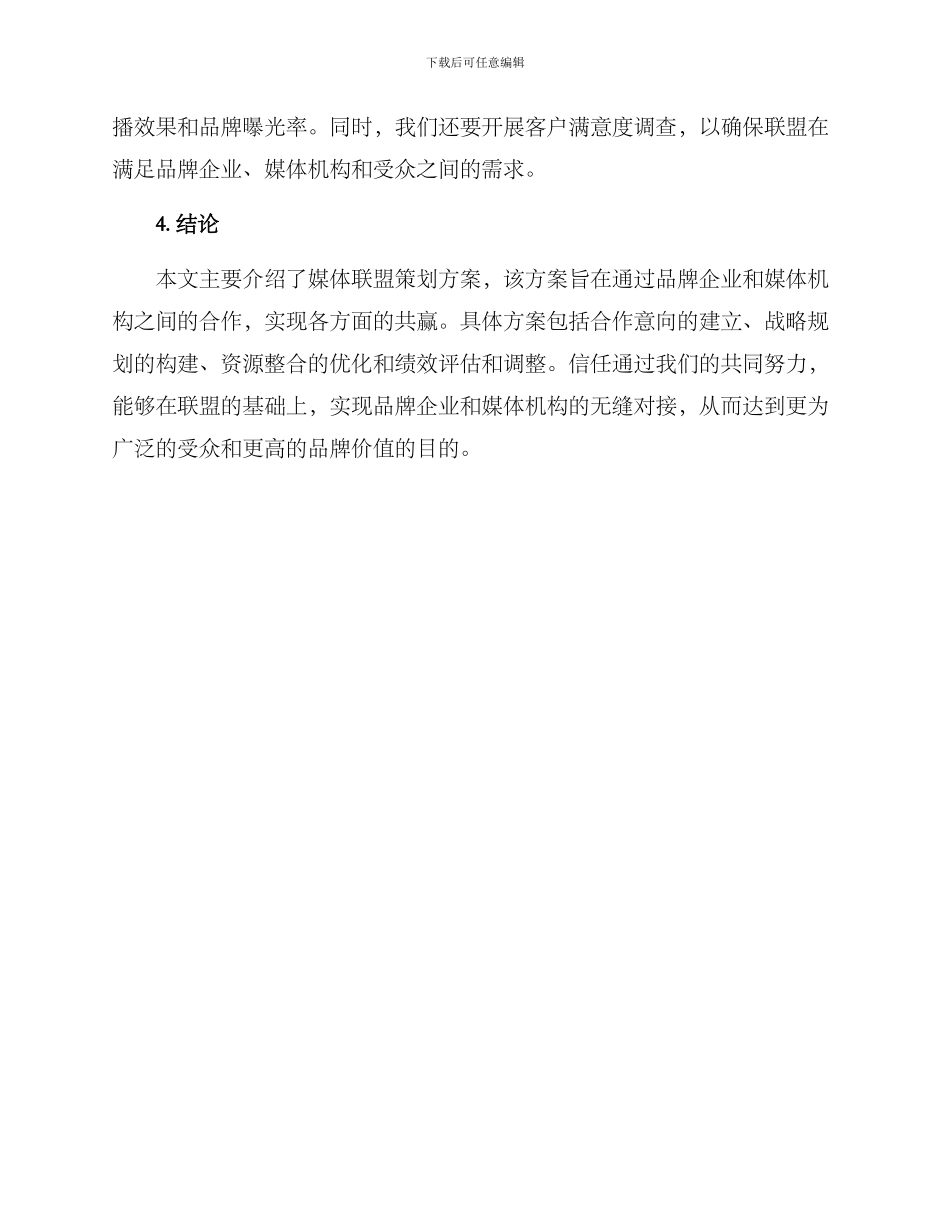 媒体联盟策划方案_第3页