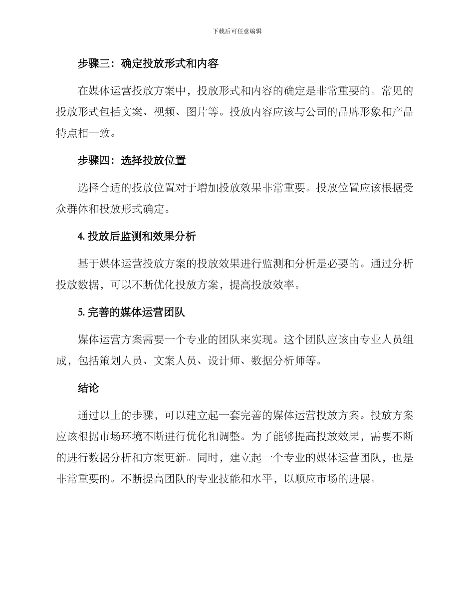 媒体运营投放方案_第2页