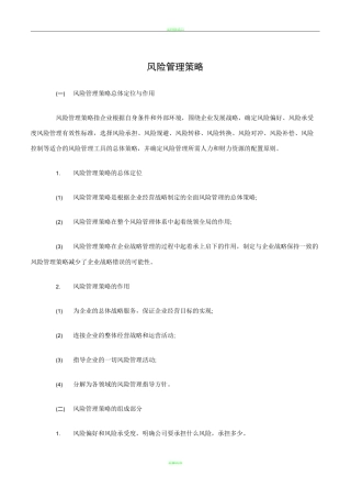 风险管理策略