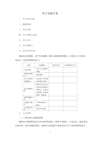破产重整审计工作方案