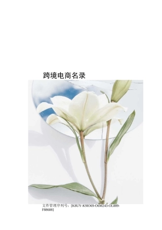 跨境电商名录