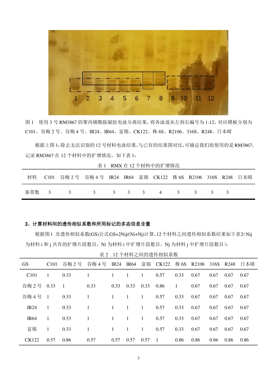 SSR的聚丙烯酰胺凝胶电泳分离与银染检测技术试验报告_第3页