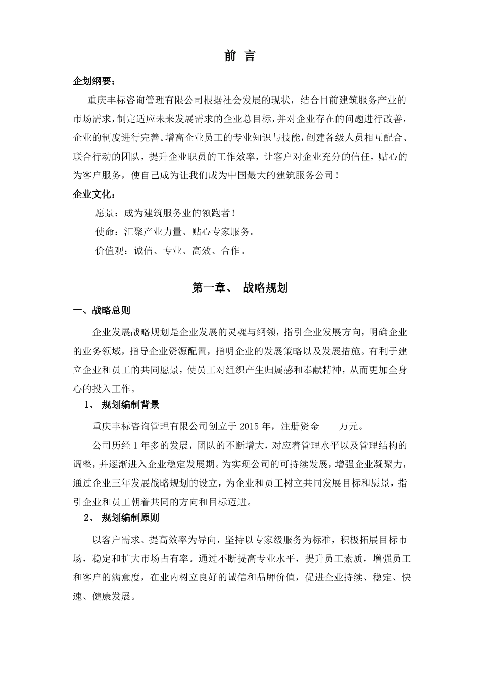 XXX发展战略规划书_第3页