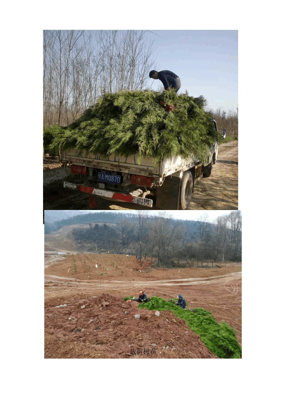 xxx水库工程项目水土保持措施落实情况说明_第2页