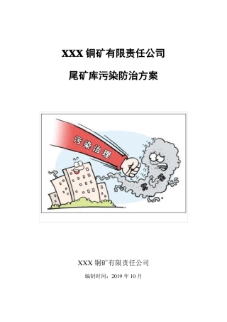 XXX铜矿有限责任公司污染防治方案定稿
