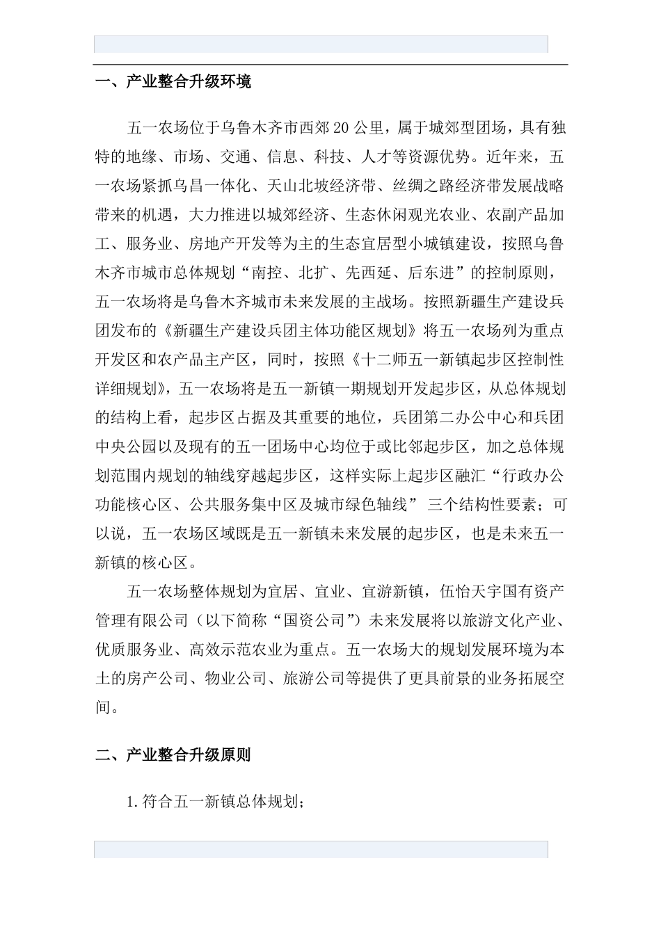 XX公司产业发展整合方案_第2页