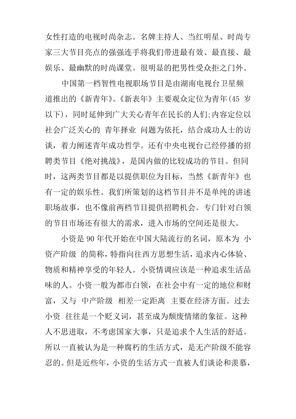 XX年电视节目策划方案_第3页