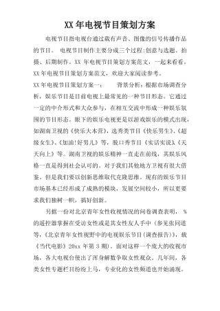 XX年电视节目策划方案