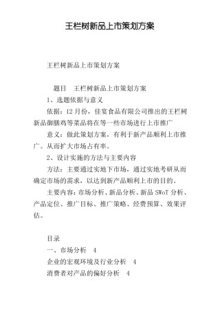 xx新品上策划方案
