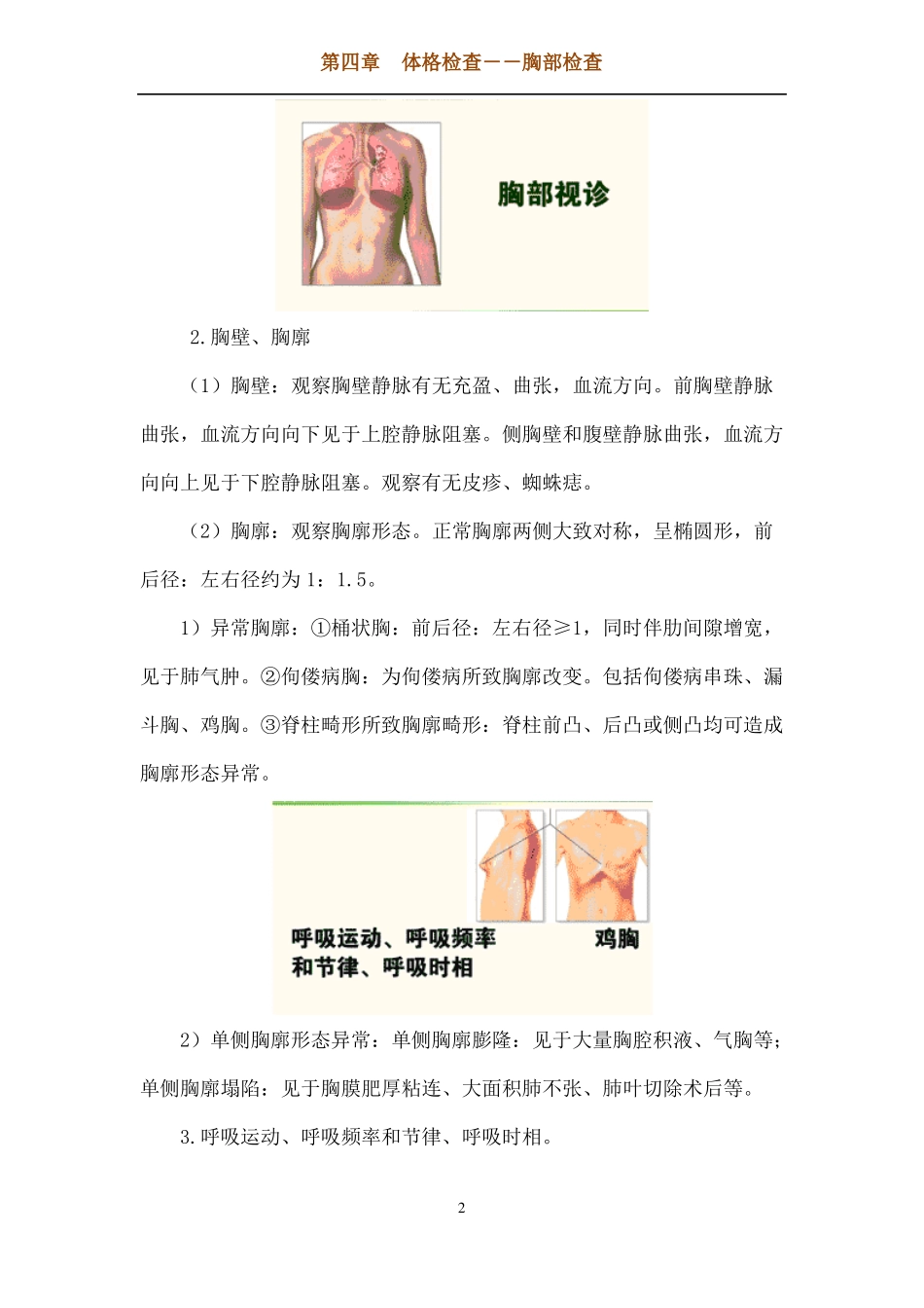 _体格检查——胸部检查_第2页