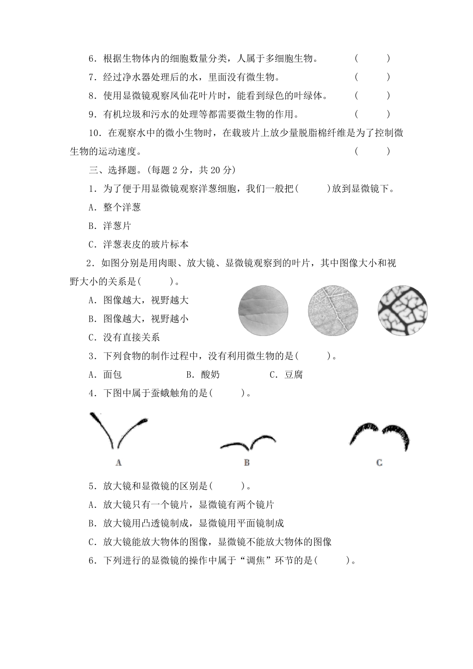 【单元卷】教科版2022022学年小学六年级上册科学：微小世界单元测试卷含答案_第2页