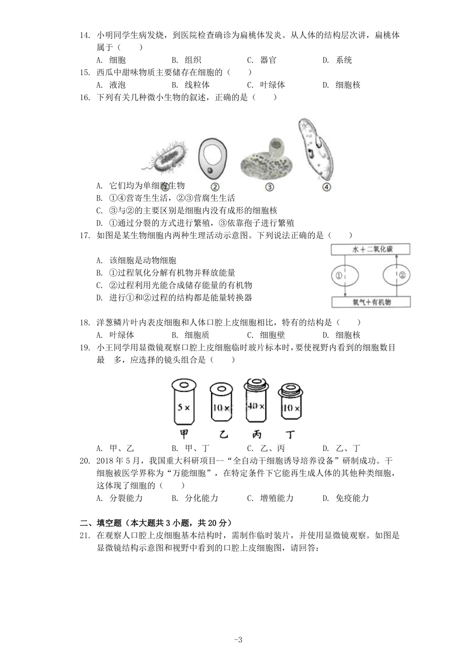 【备考2020】生物中考真题01—生物体的结构层次含答案_第3页