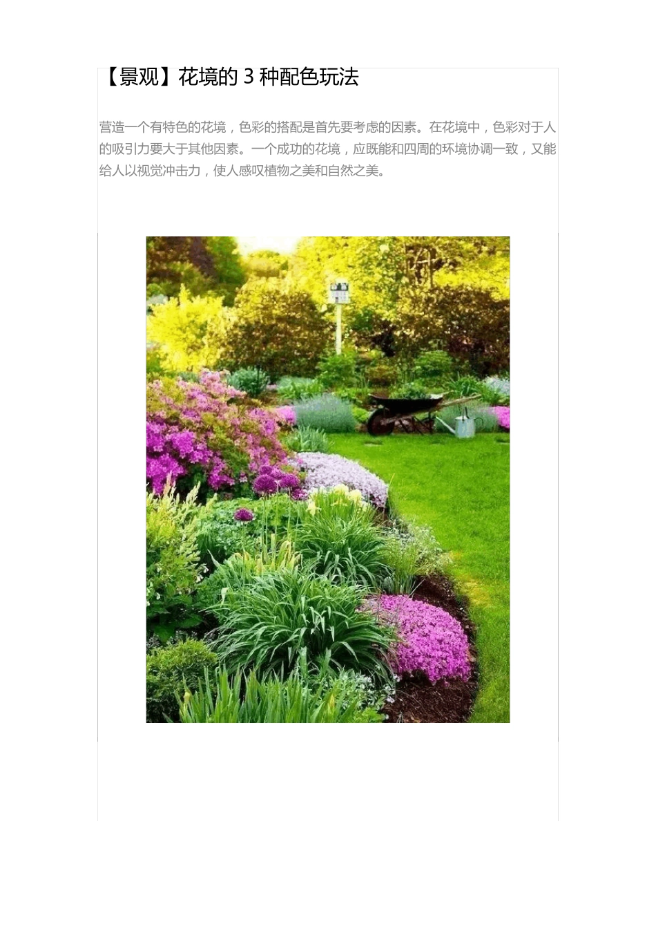 【景观】花境的3种配色玩法_第1页