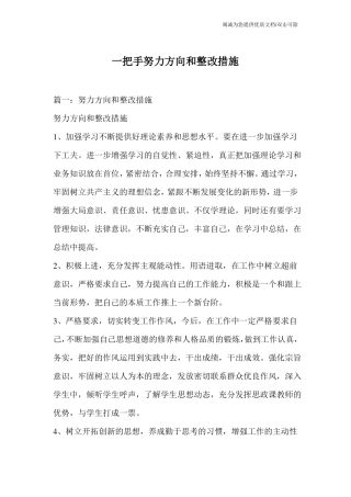 一把手努力方向和整改措施