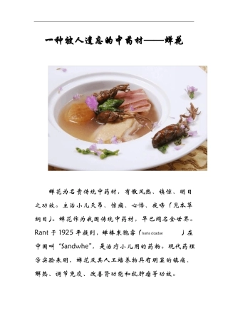 一种被人遗忘的中药材—蝉花