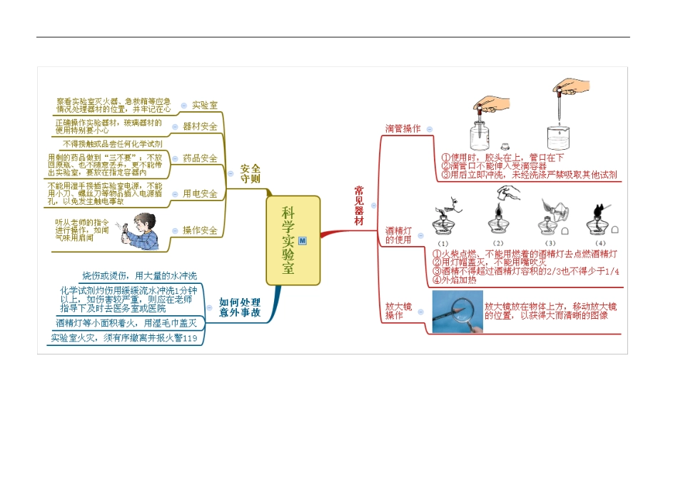 七上科学-科学入门思维导图_第3页